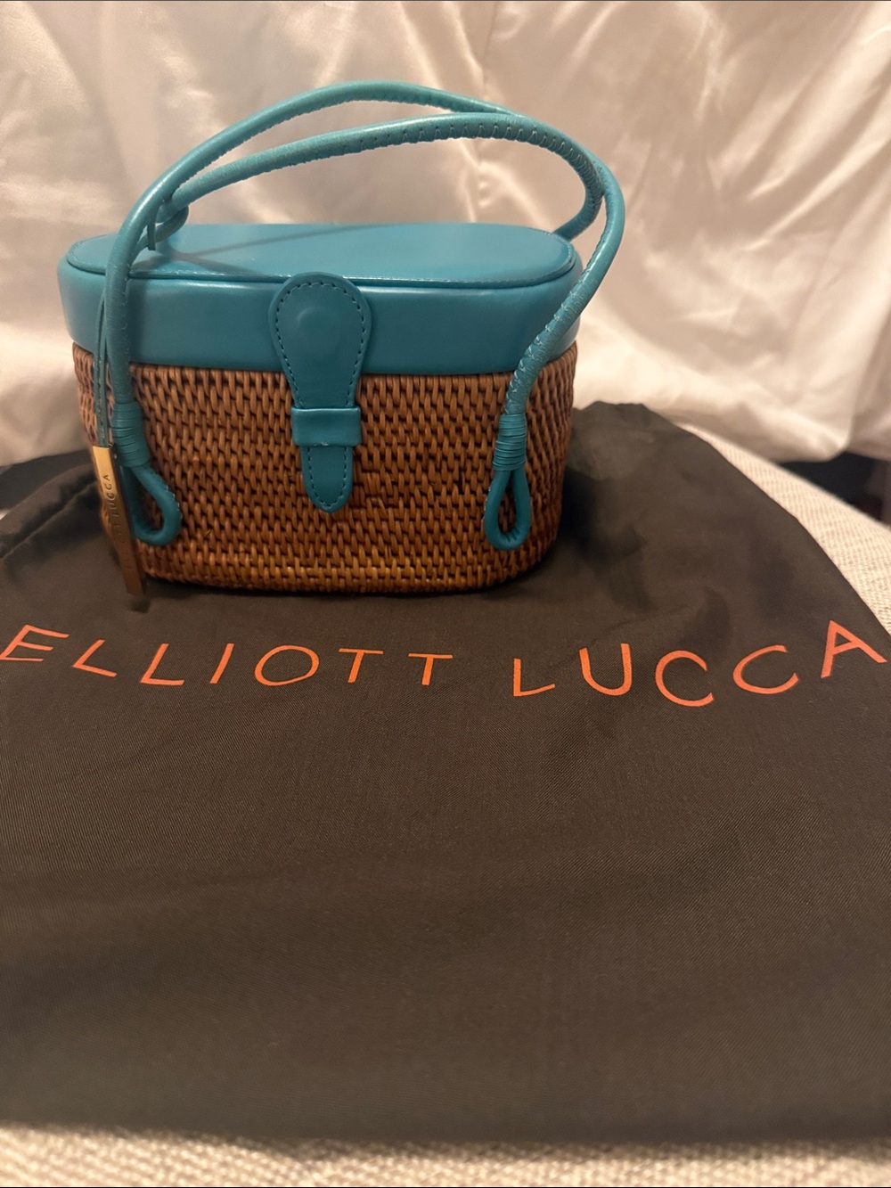 Elliott Lucca Teal and Brown Woven Mini Crossbody